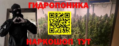 ГАЛЛЮЦИНОГЕННЫЕ ГРИБЫ Пушкино