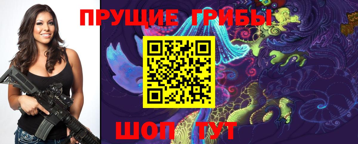 Галлюциногенные грибы Psilocybe  Вход с VPN  Россошь 